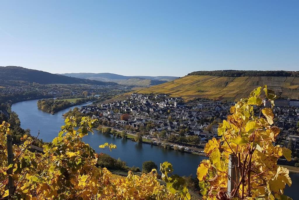 Moseltor Apartment Monzelfeld
